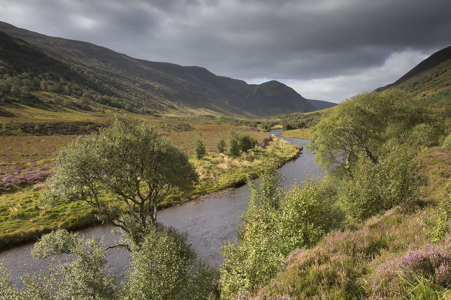 Native woodland regenerating along glacial valley, Alladale Wilderness Reserve, Sutherland, Scotland.