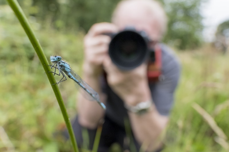 blue damselfly and photographers on eco photography workshop and tour with argaty farm