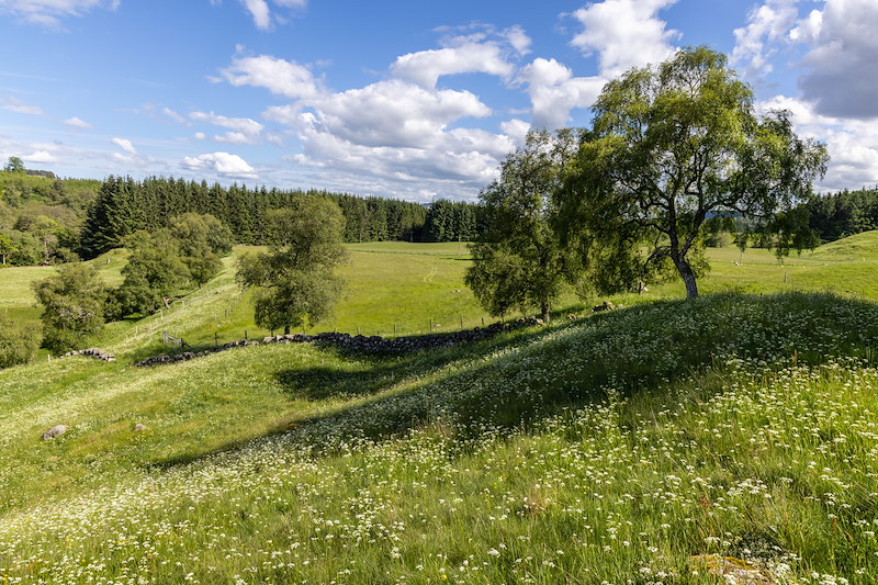 Wester Tullochcurran