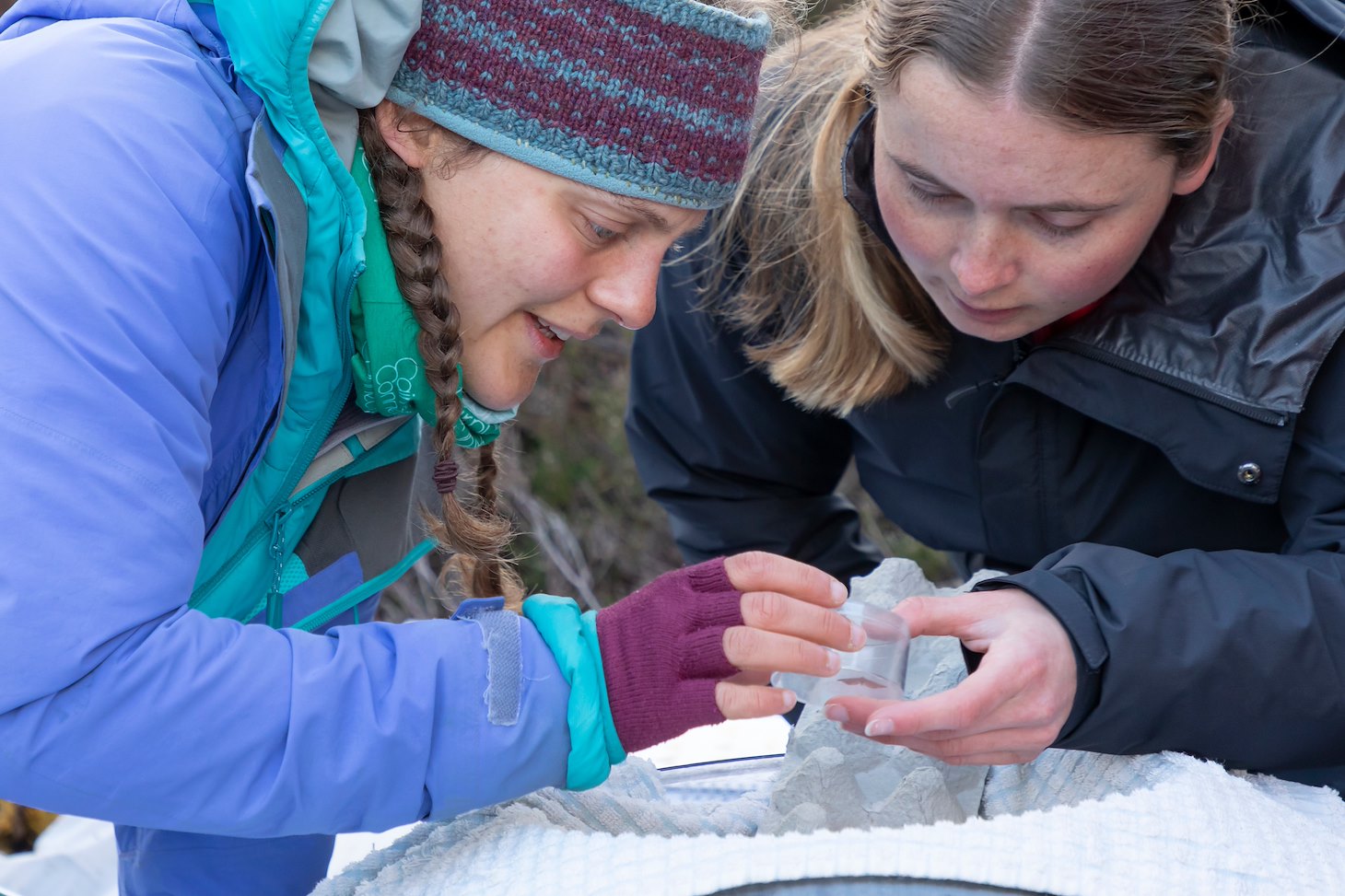 Ecologists, Ellie Dimambro-Denson and Christina Hunt, recording moths as part of monitoring work for Cairngorms Connect, Inshriah Forest