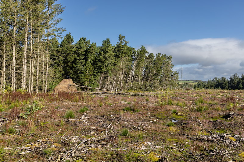 Raised Bog Restoration