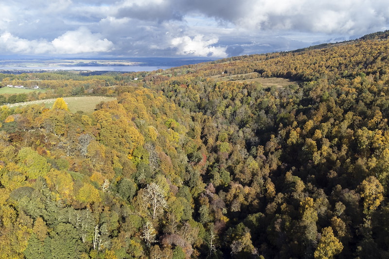 Aerial view of broadleaf woodland and gorge, South Clunes Farm, Inverness-shire