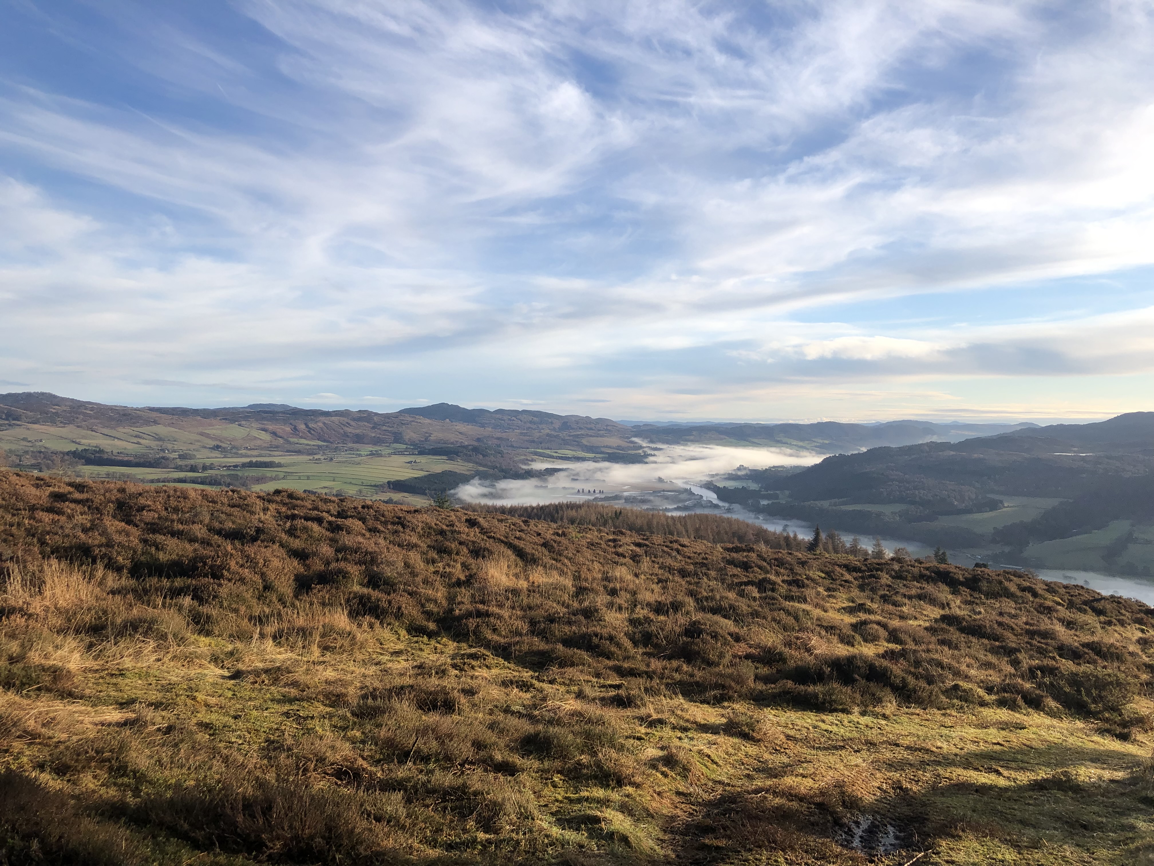 Image illustrating Three-quarters of Scots want wilder national parks, poll finds
