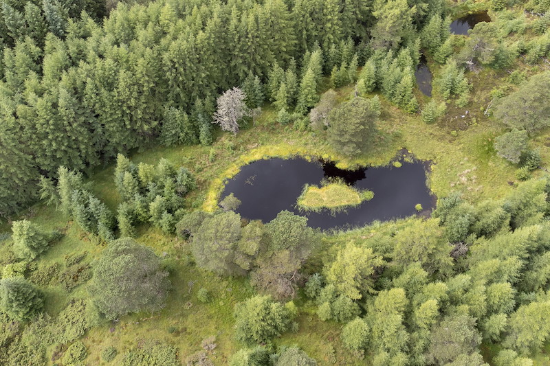 Aerial view of upland bog forest pool, Tombane, Logerait, Perthshire