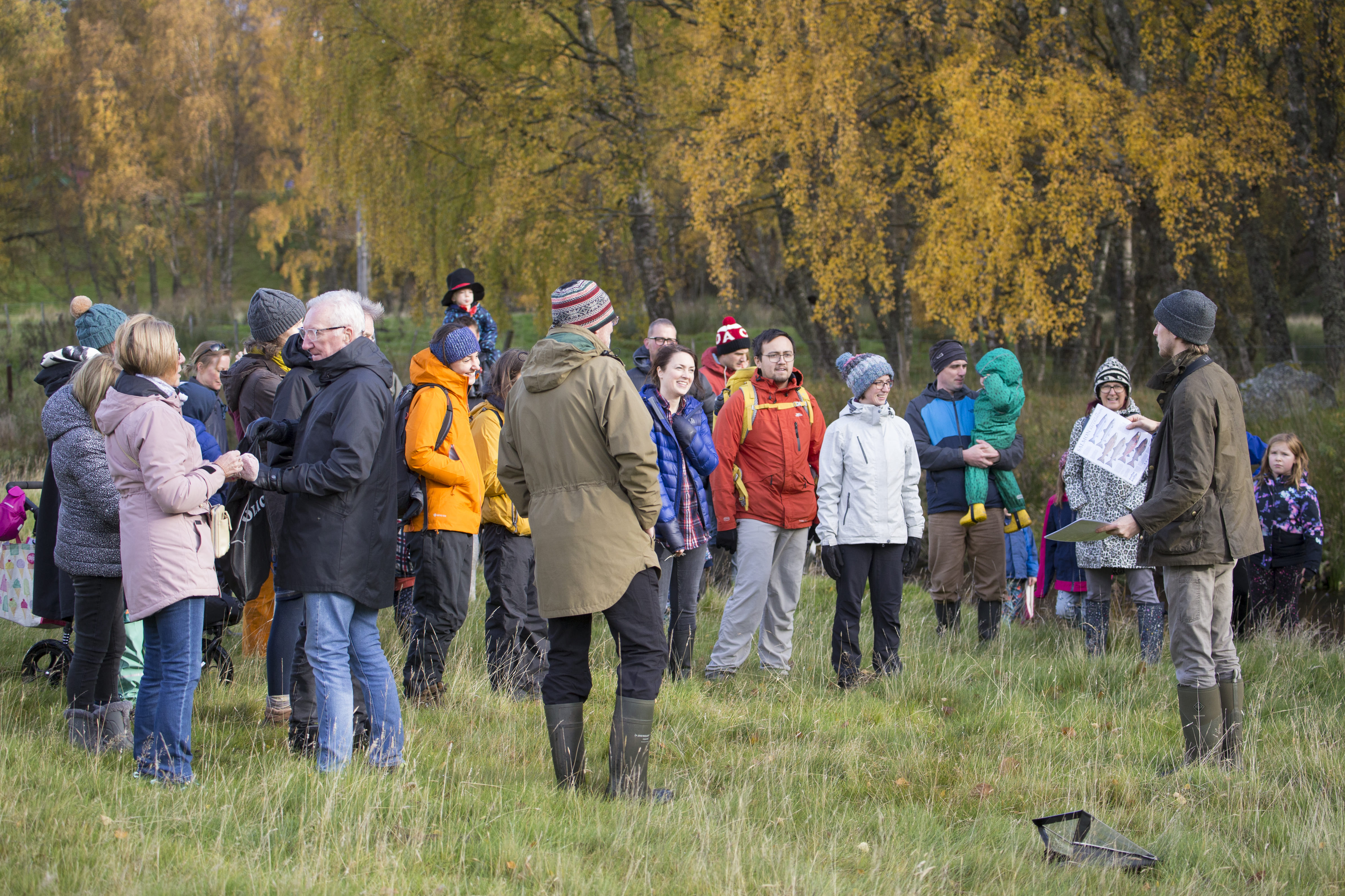 Image illustrating Calls for the land reform and rewilding movements to explore "common ground"