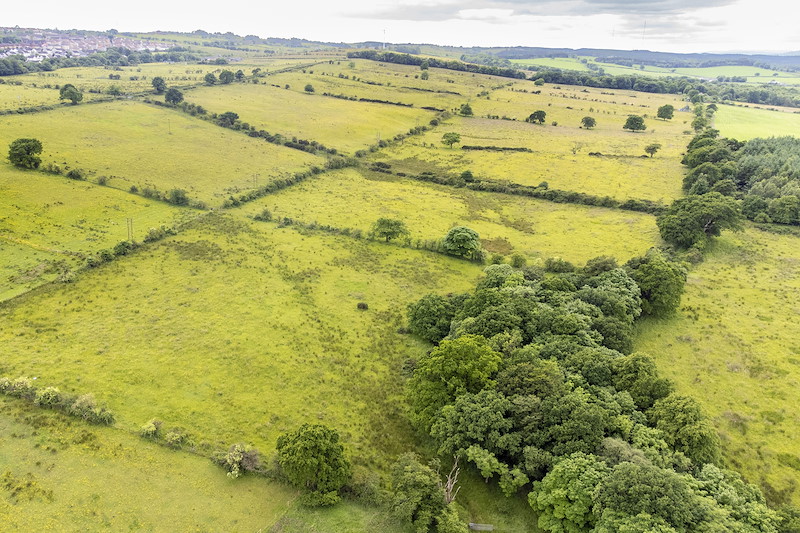 An aerial view of grazed grassland and old fragmented hedgerows prior to habitat restoration work, Pirleyhill Farm, a Northwoods Rewilding Network land partner, near Falkirk, Scotland, June 2024