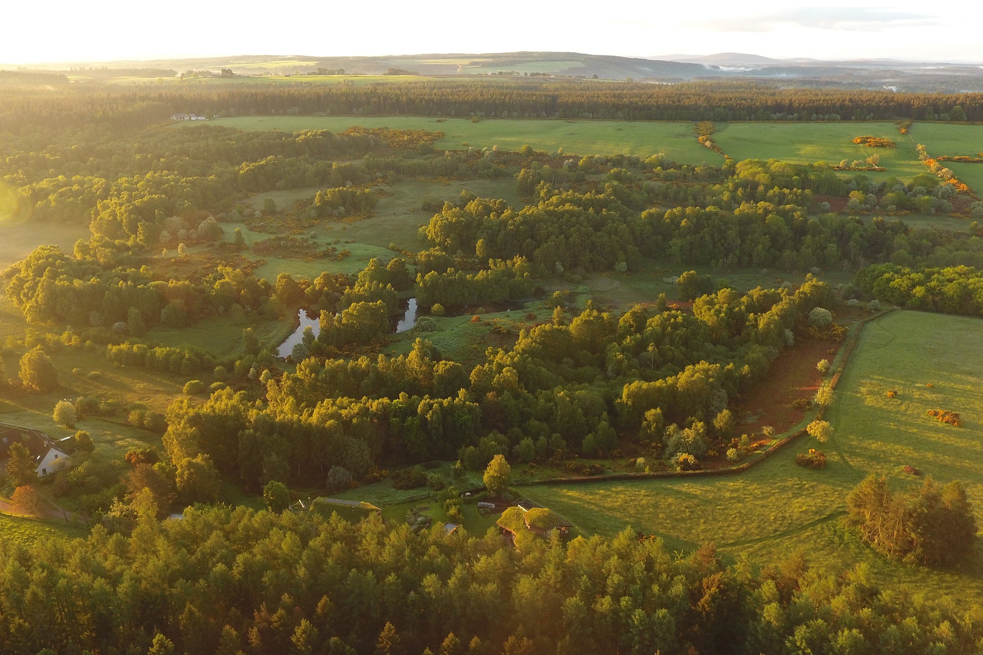 NRN PARTNER: Laikenbuie Ecology Trust