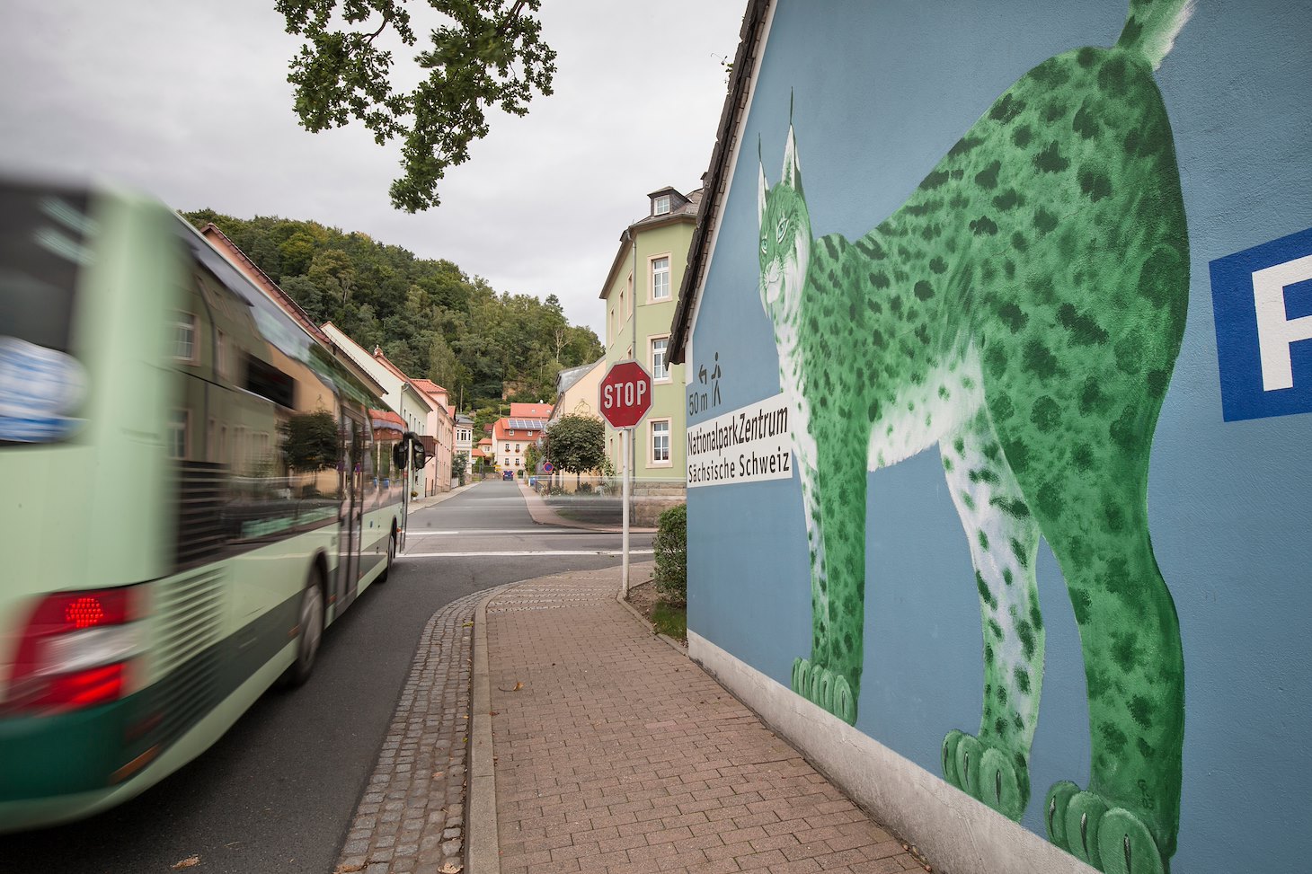 Painting on wall as part of lynx branding in German town of Bad Schandau.