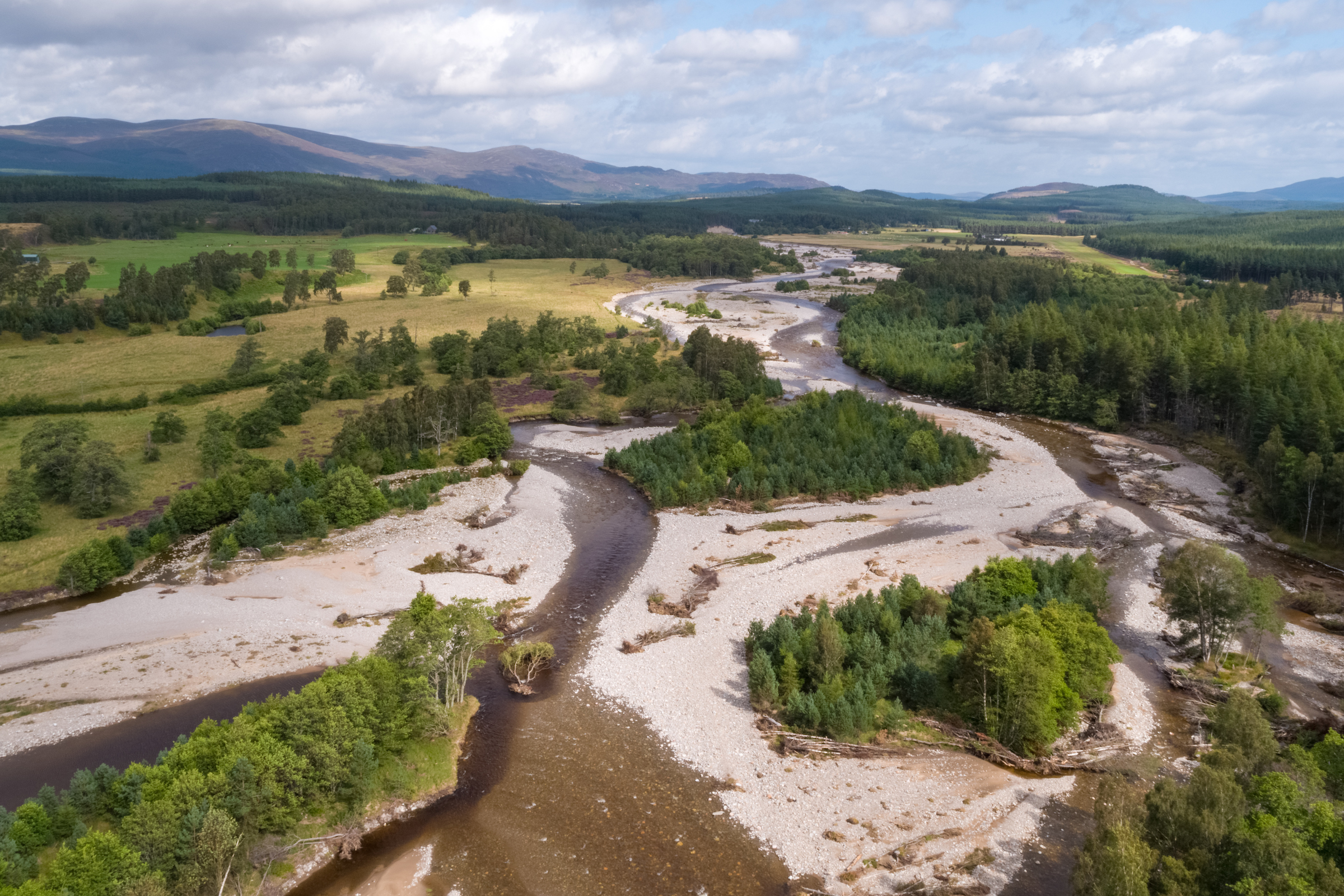 Image illustrating From rapids to rewilding: nature champions join forces for Scotland’s rivers