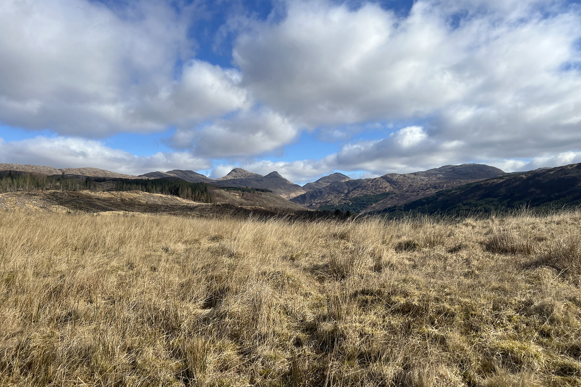 NRN PARTNER: Ariundle Croft