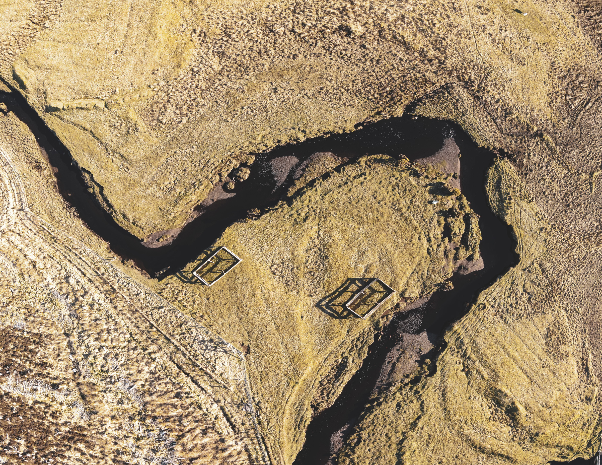 Image illustrating Locally grown, locally built: rewilding Skye 