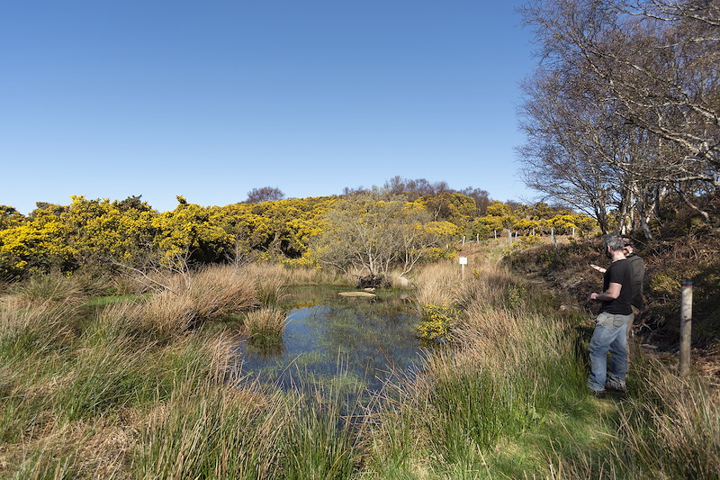 James Nairne and Patrick Ullman Campbell in conversation next to a pond in early spring, The Plock, Kyle and Lochalsh, April 2025