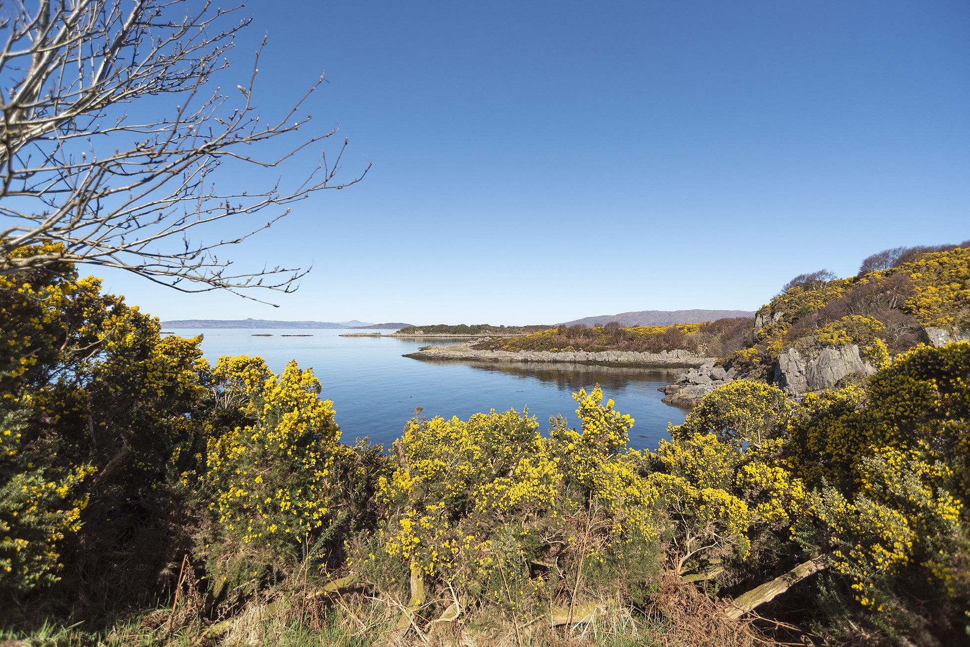 NRN PARTNER: Kyle & Lochalsh Community Trust