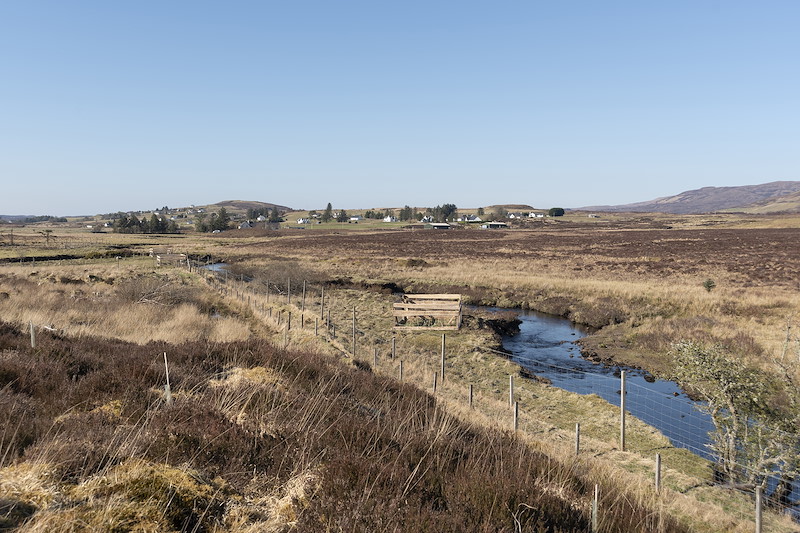 Seed islands next to the River Snizort, Uigshader Living Forest Project, Isle of Skye, April 2025