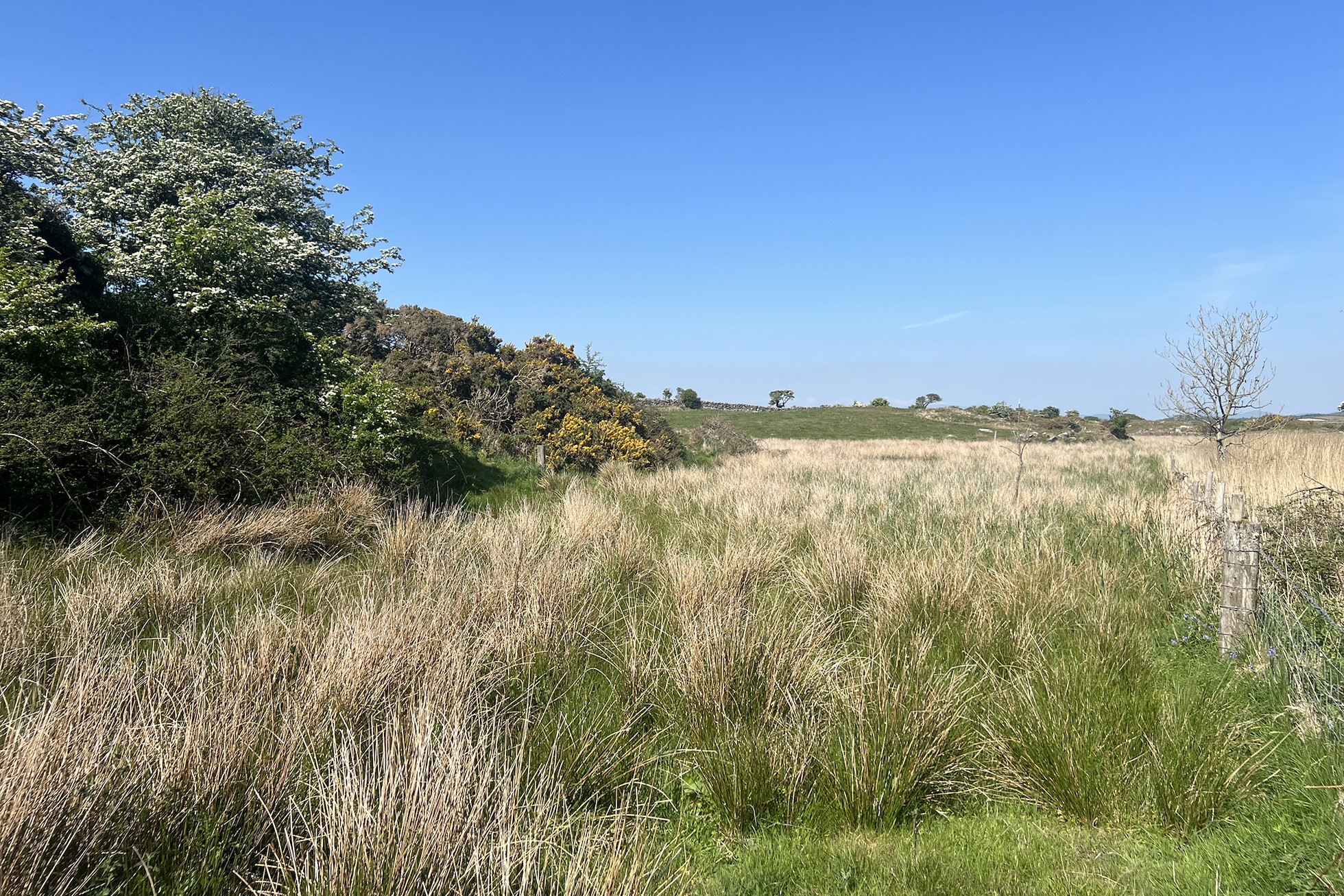 NRN PARTNER: Barmeal Farm