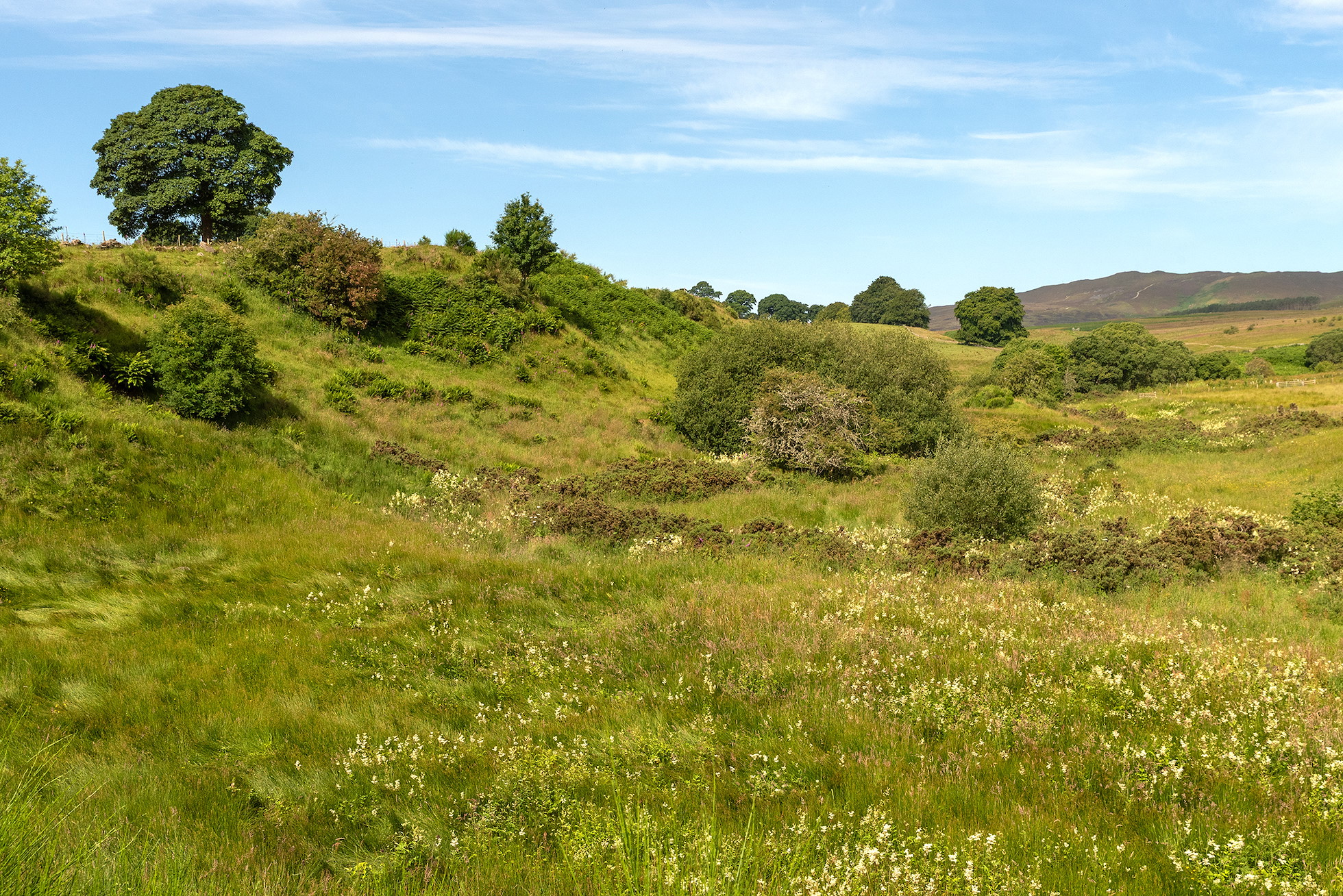 NRN PARTNER: Francesfield Farm