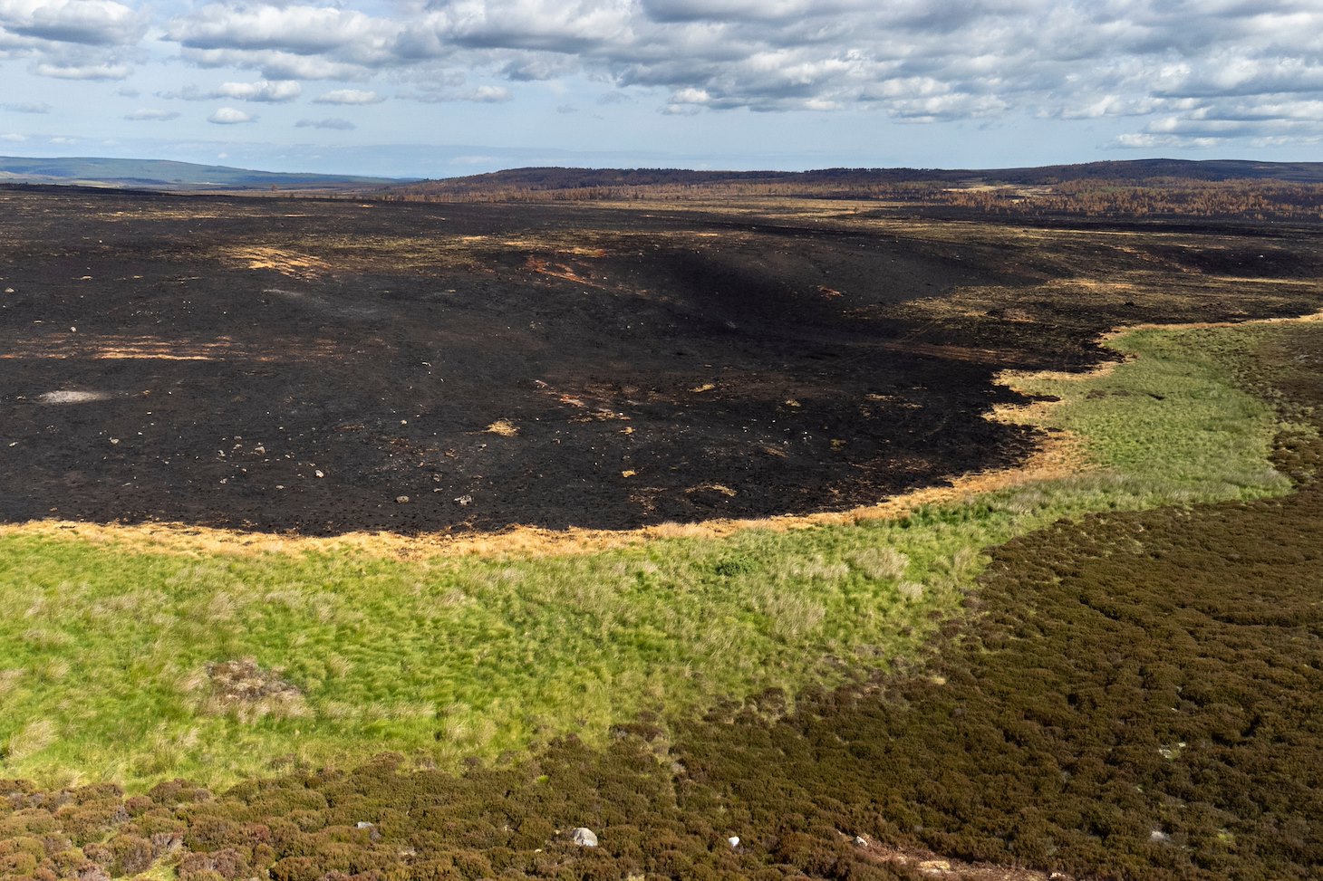 An area of boggy grassland between areas of heather forming a natural firebreak to an uncontrolled wild fire near Lochindorb in July 2025. The fire swept across more than 10,000 hectares of heather moorland, peatland and woodland north-east of Carrbridge and was the largest in Scottish history.