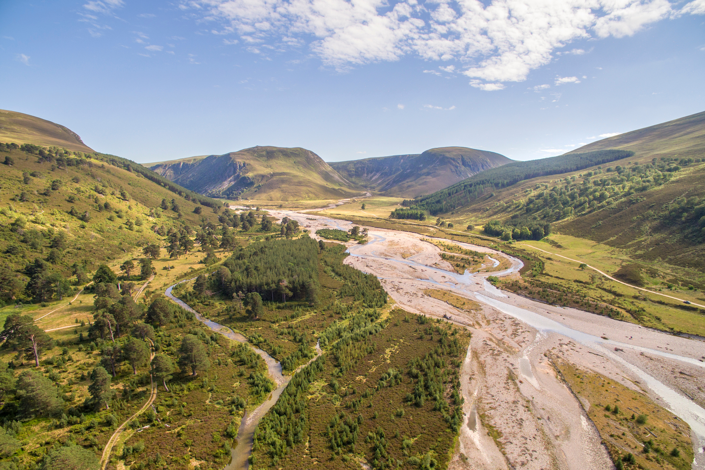 9 Ways to Rewild image