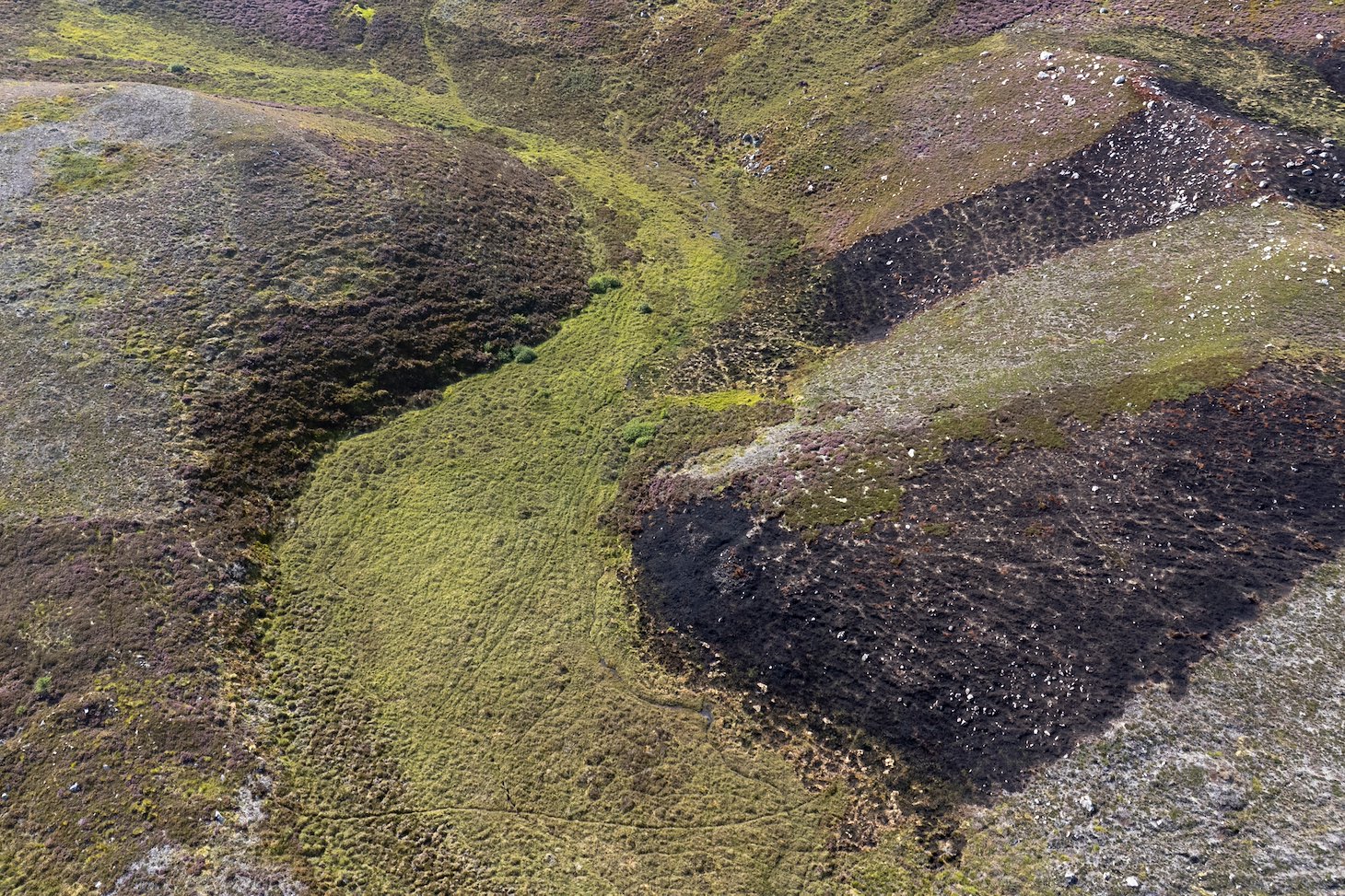 A patchwork of muirburn showing patches that were burnt in an uncontrolled wildfire near Carrbridge in July 2025