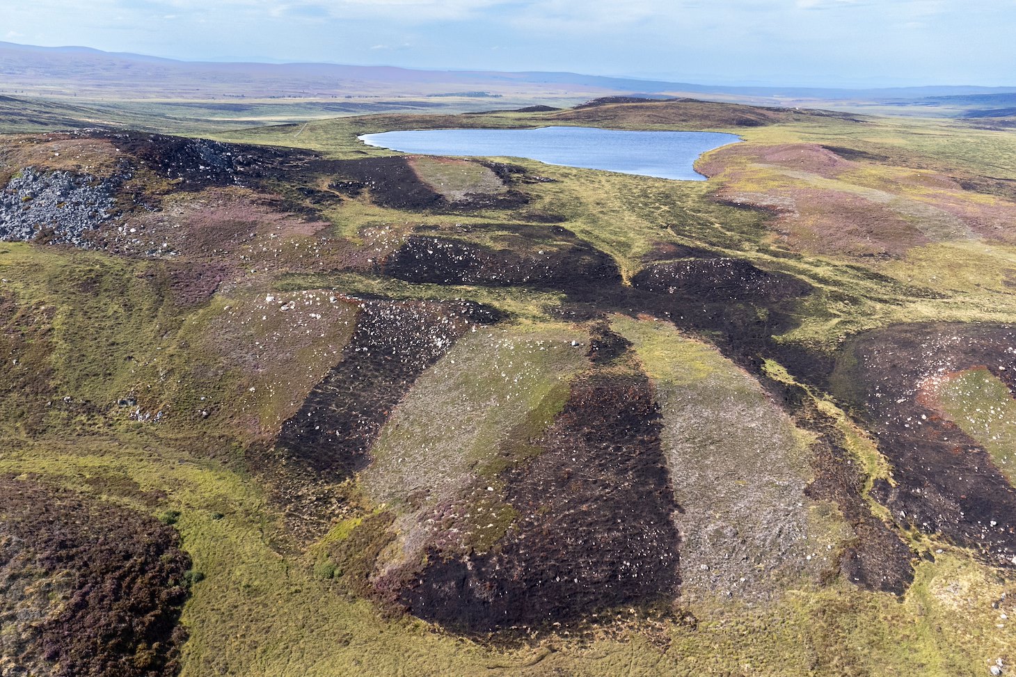 A patchwork of muirburn showing patches that were burnt in an uncontrolled wildfire near Carrbridge in July 2025