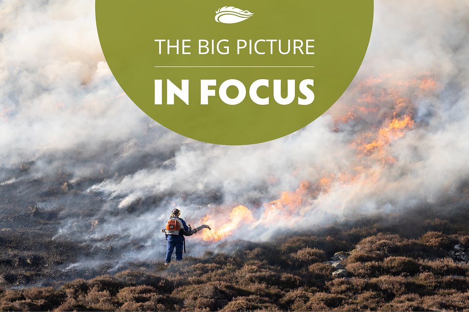 Wildfires spark muirburn debate