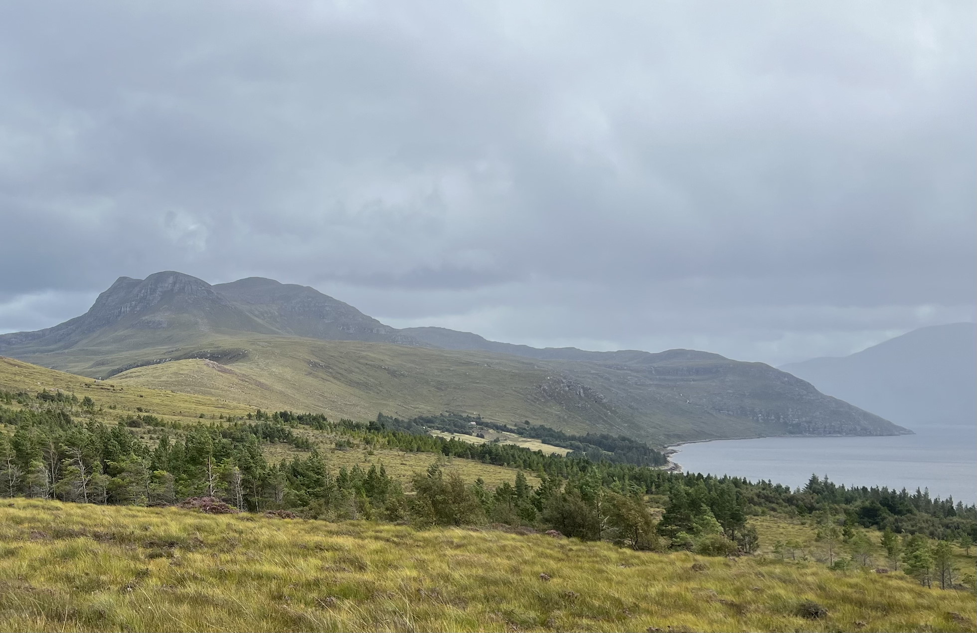 NRN PARTNER: Ruigh'riabhach Croft