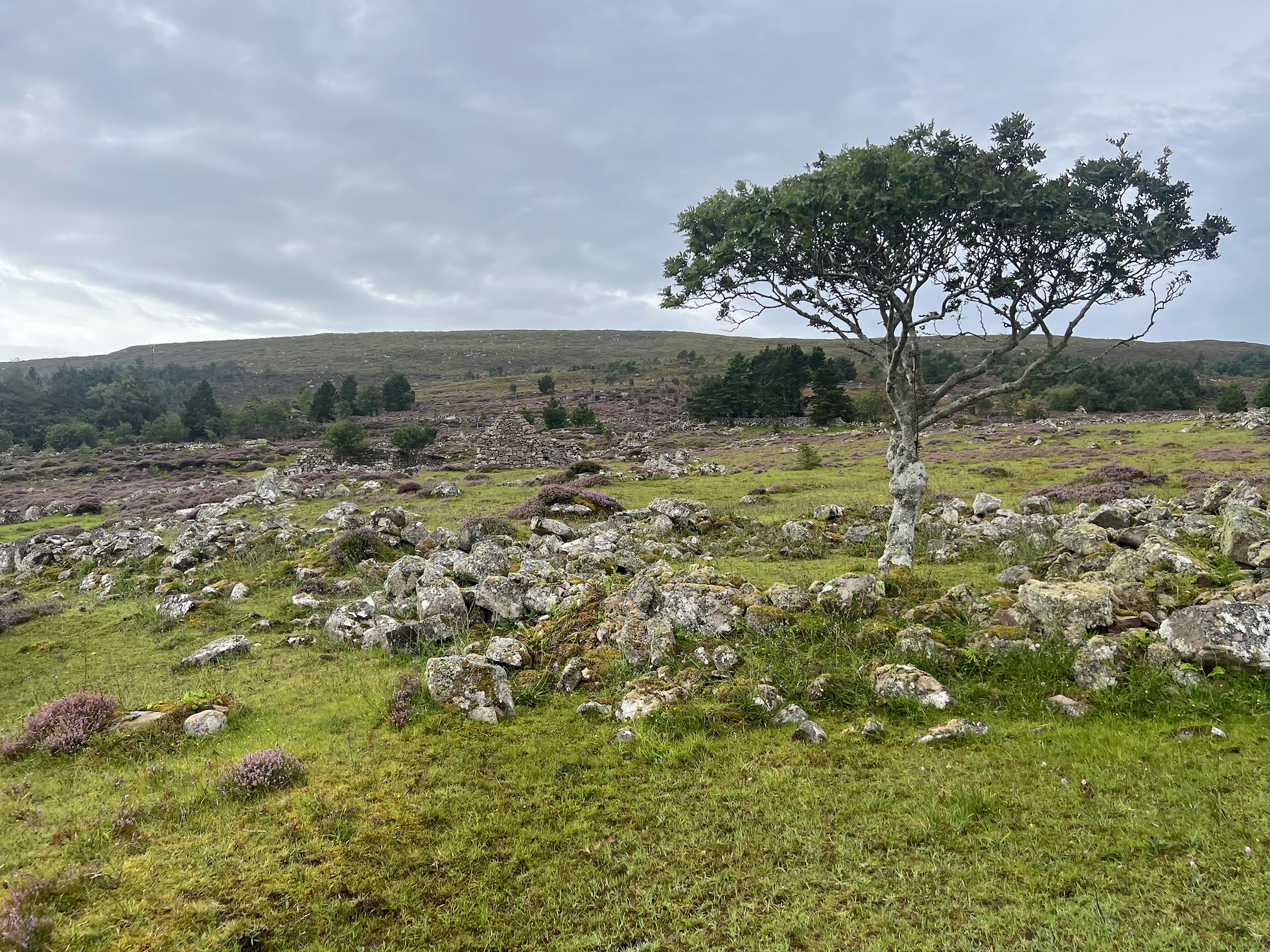 NRN PARTNER: Tigh-an-Iar