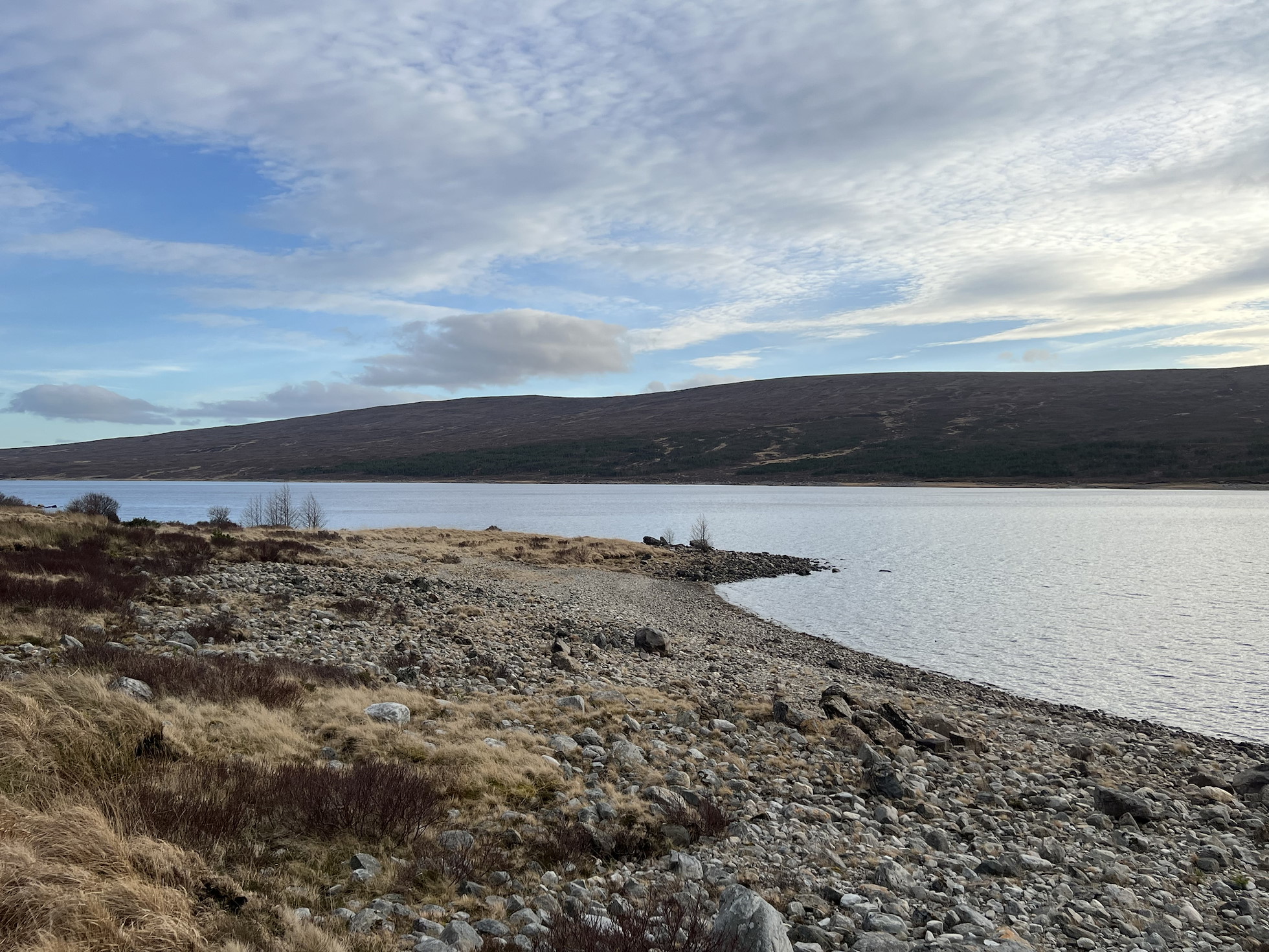 NRN PARTNER: Carrachan