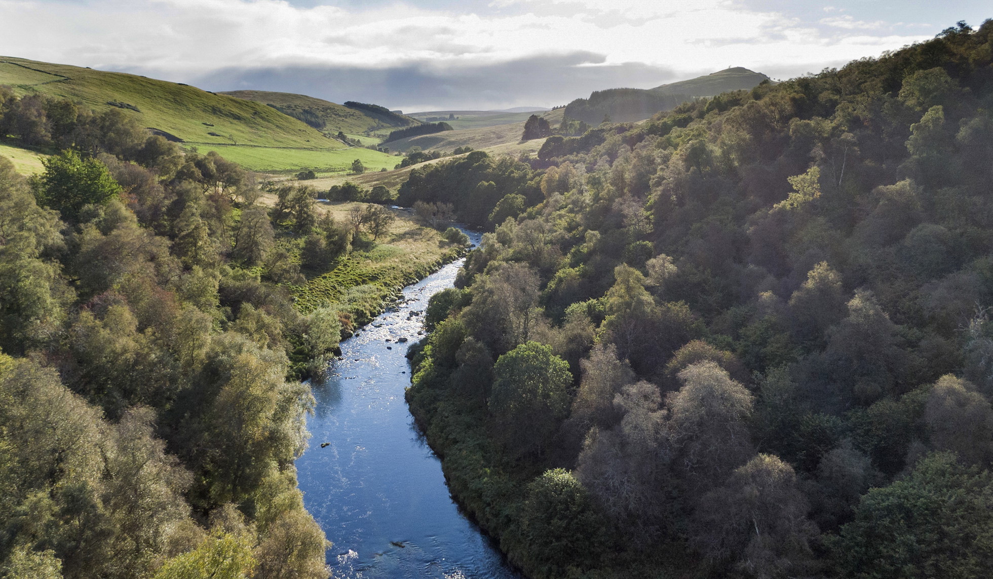 NRN PARTNER: Deveron Wildland