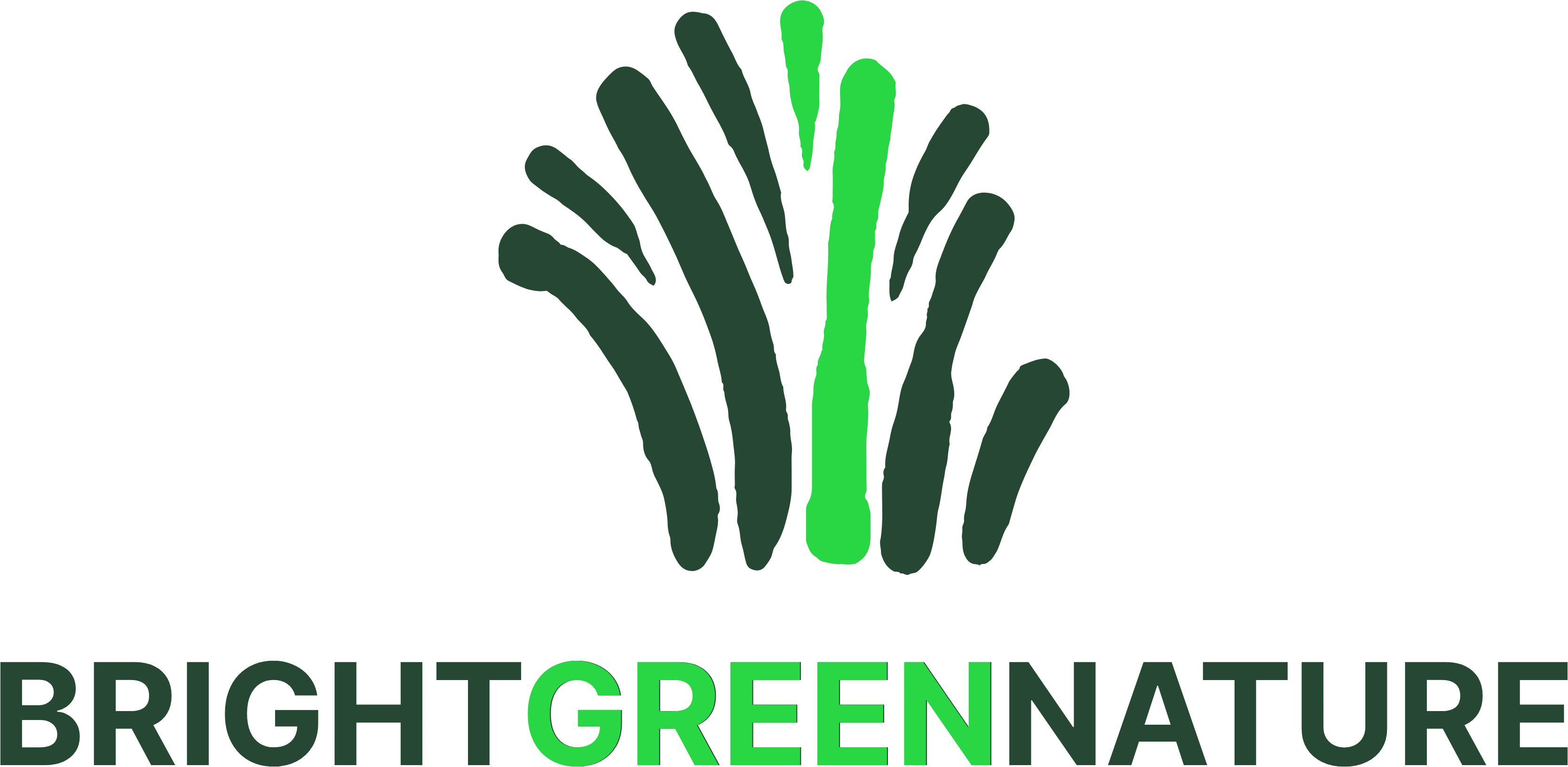logo for Bright Green Nature