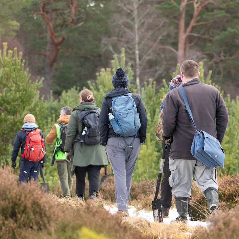 Photo of CAREERS IN REWILDING: JUMPSTART YOUR FUTURE