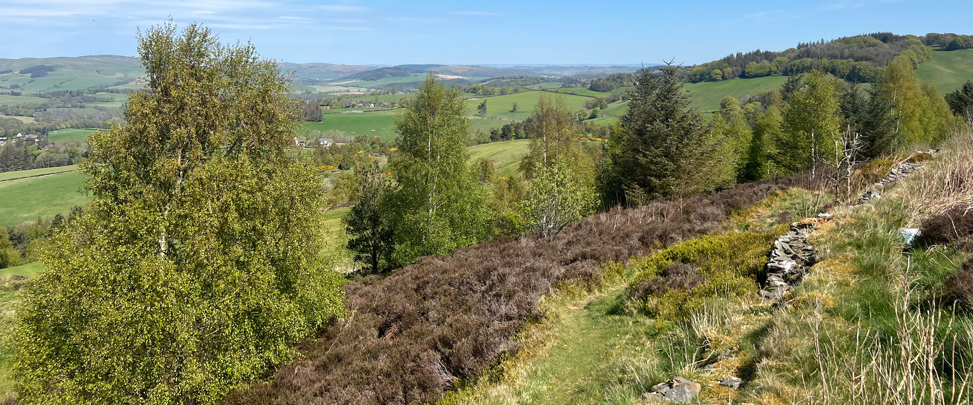 NRN PARTNER: Selkirk Hill